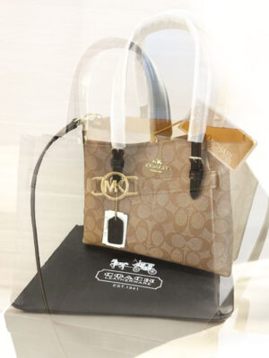 Bag in tote bag