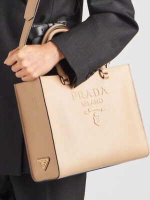 Bag in tote bag