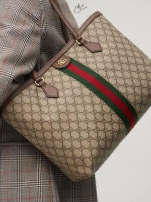 Bag in Bag Tote Bag