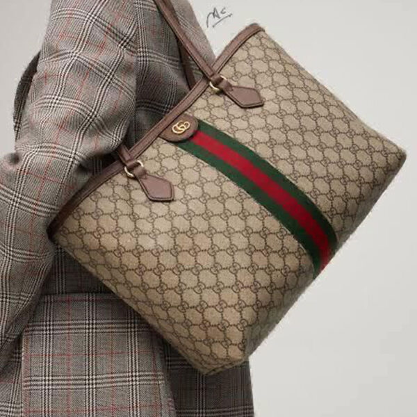 Bag in Bag Tote Bag